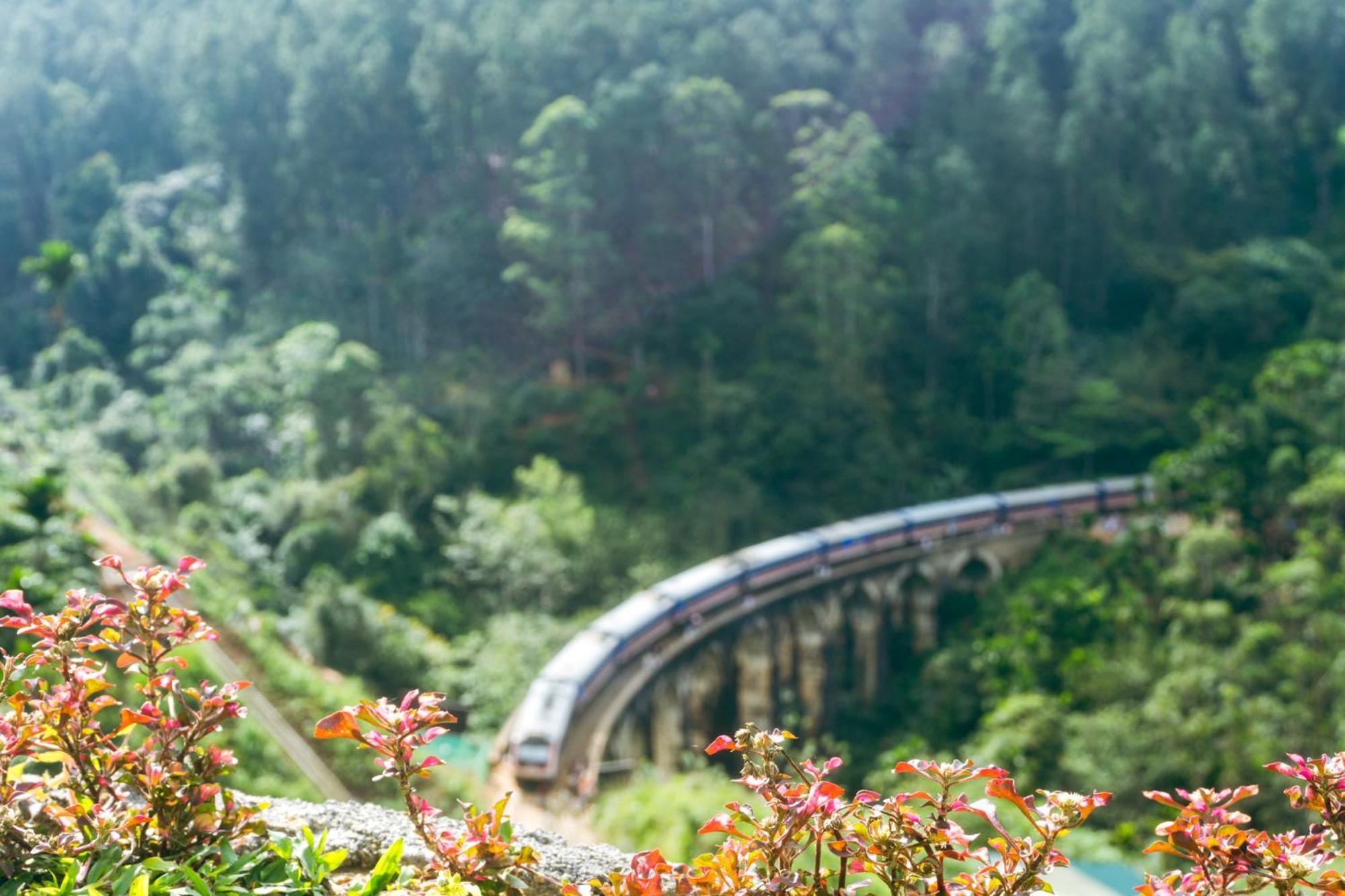 Bed and Breakfast Hobbit Hole Hideaway Ella Exteriér fotografie